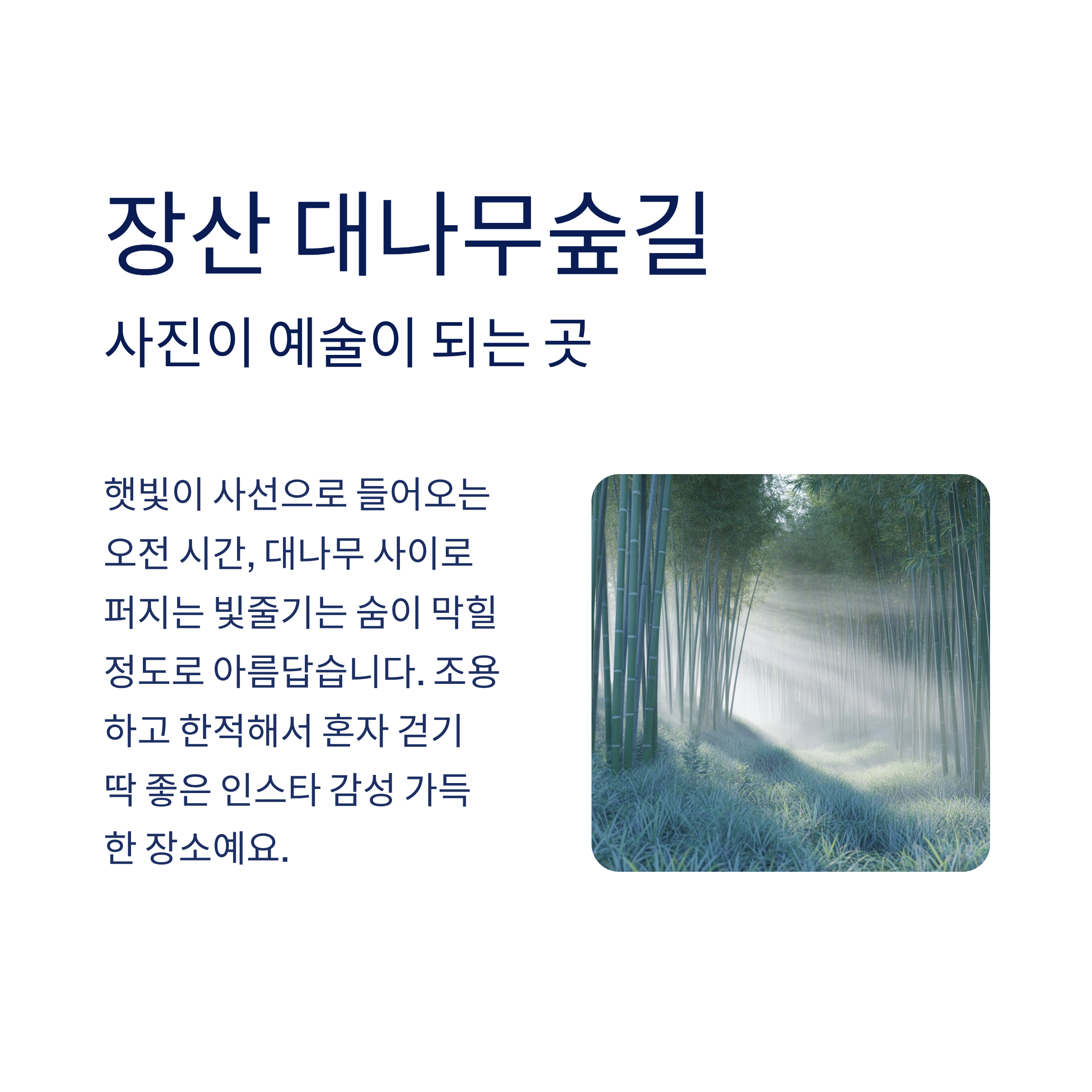 부산 근교 트레킹, 달리기, 산책, 힐링 코스