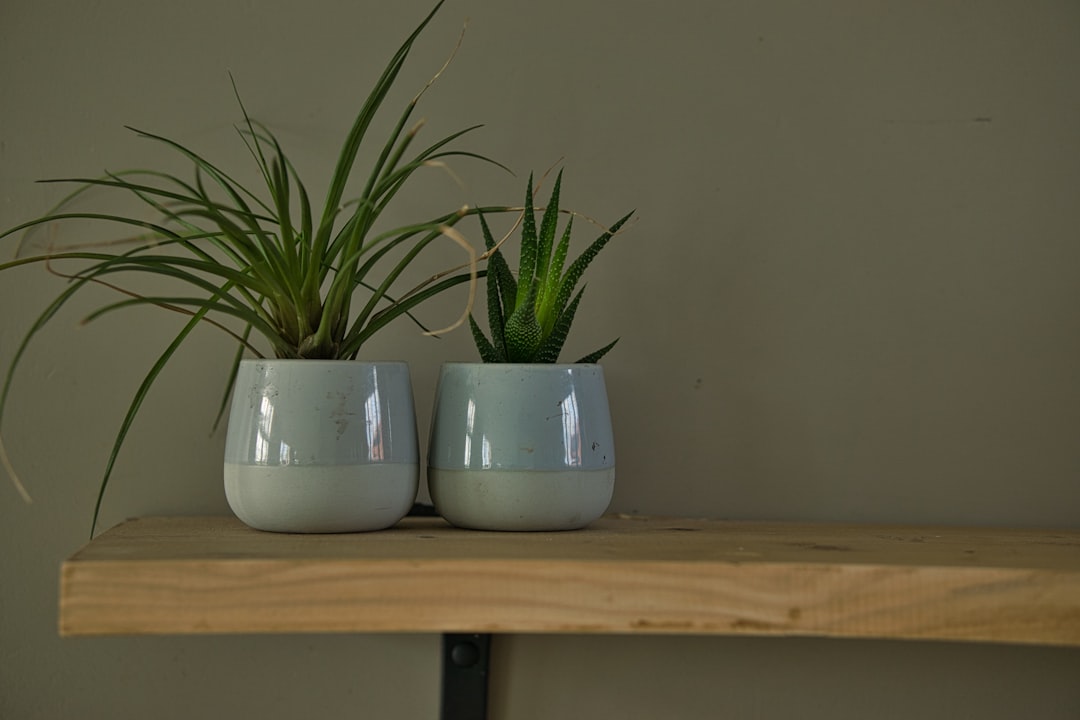 Planter