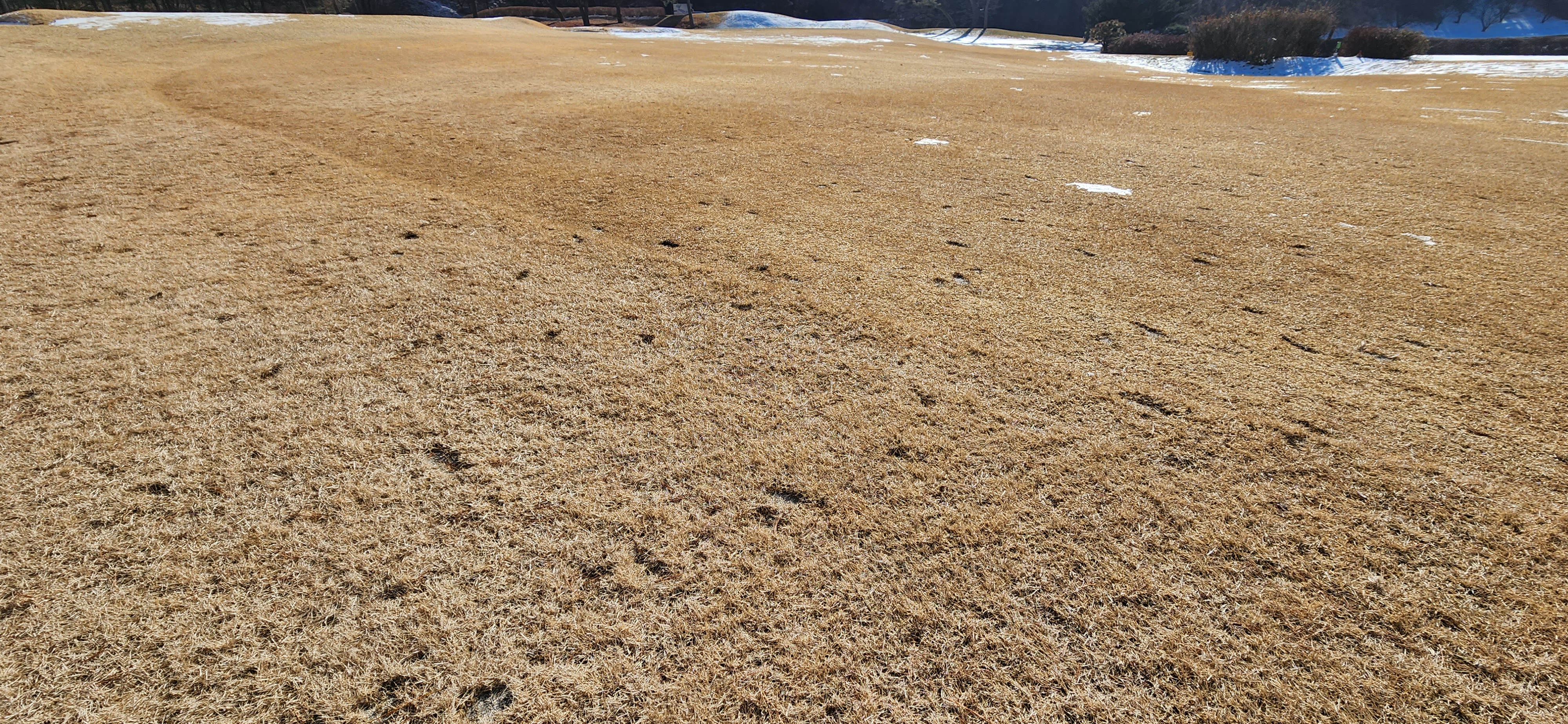 레이크사이드cc