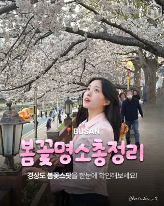 경상도 봄여행 가볼만한곳 베스트 10 완벽 여행 가이드_11