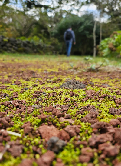 에코랜드 추천코스