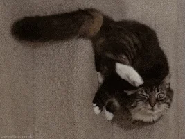 Itchy