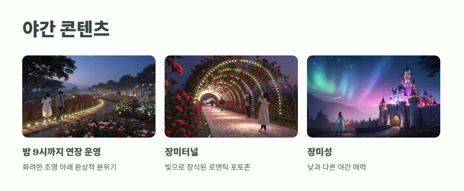 삼척 장미축제 일정 2025 13