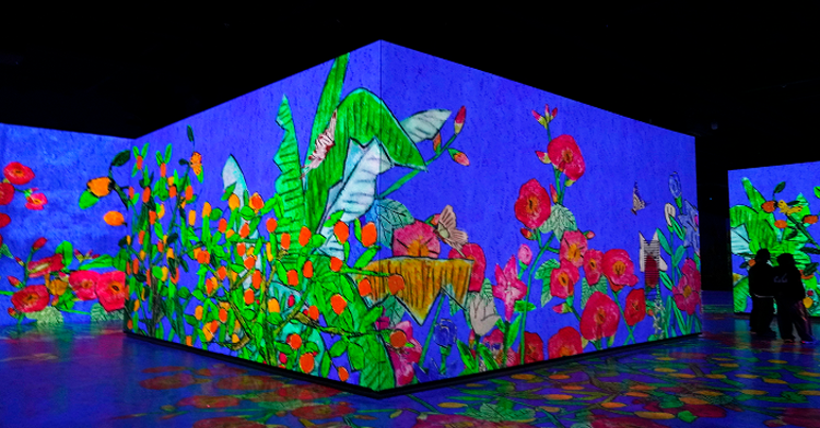 빛의 벙커 제주