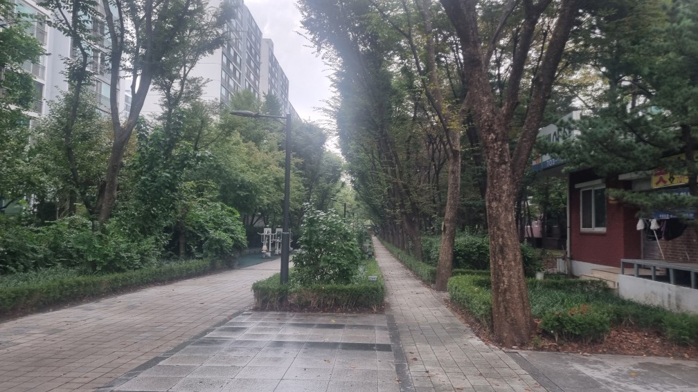 탑대우 탑선경 사잇길 