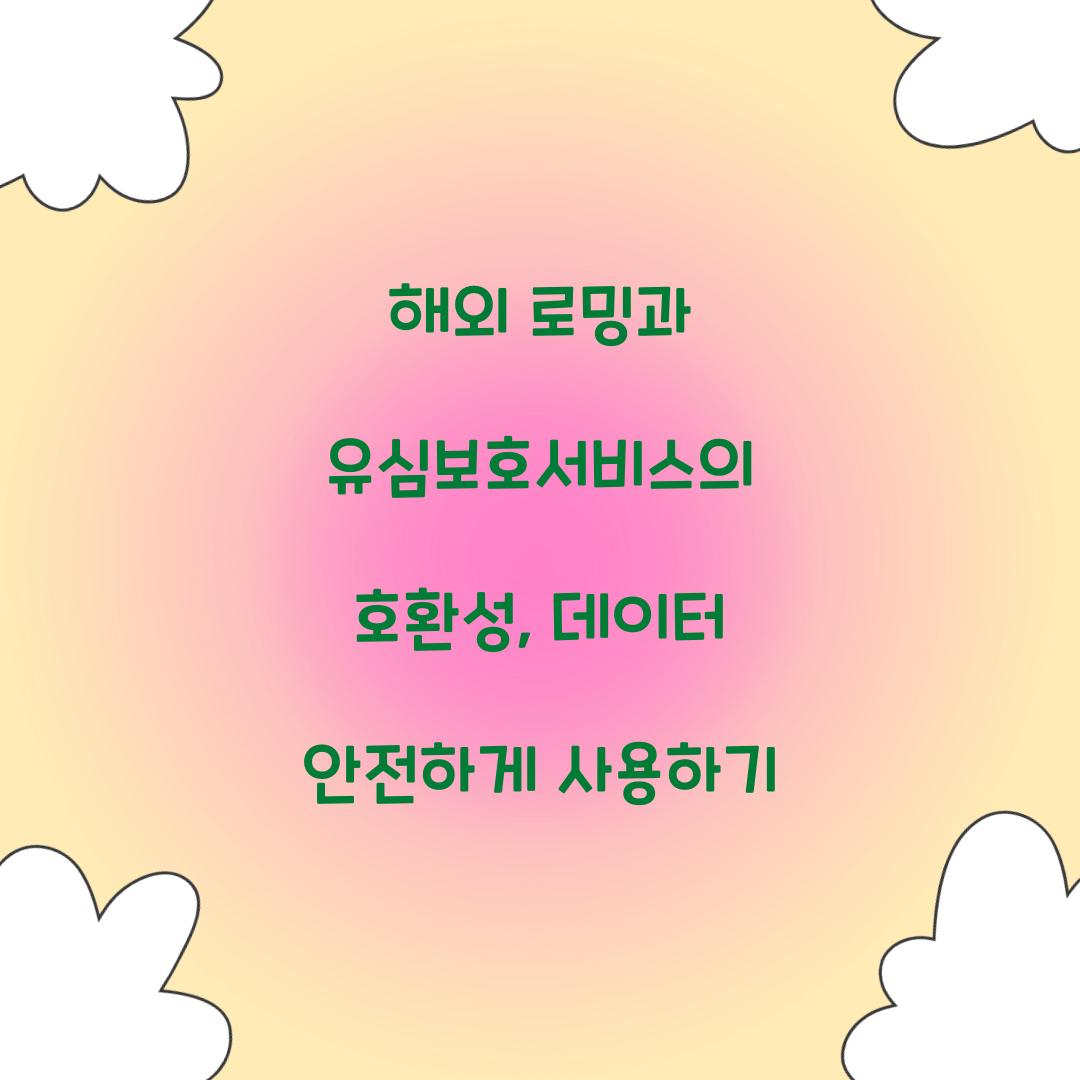 해외 로밍과 유심보호서비스의 호환성
