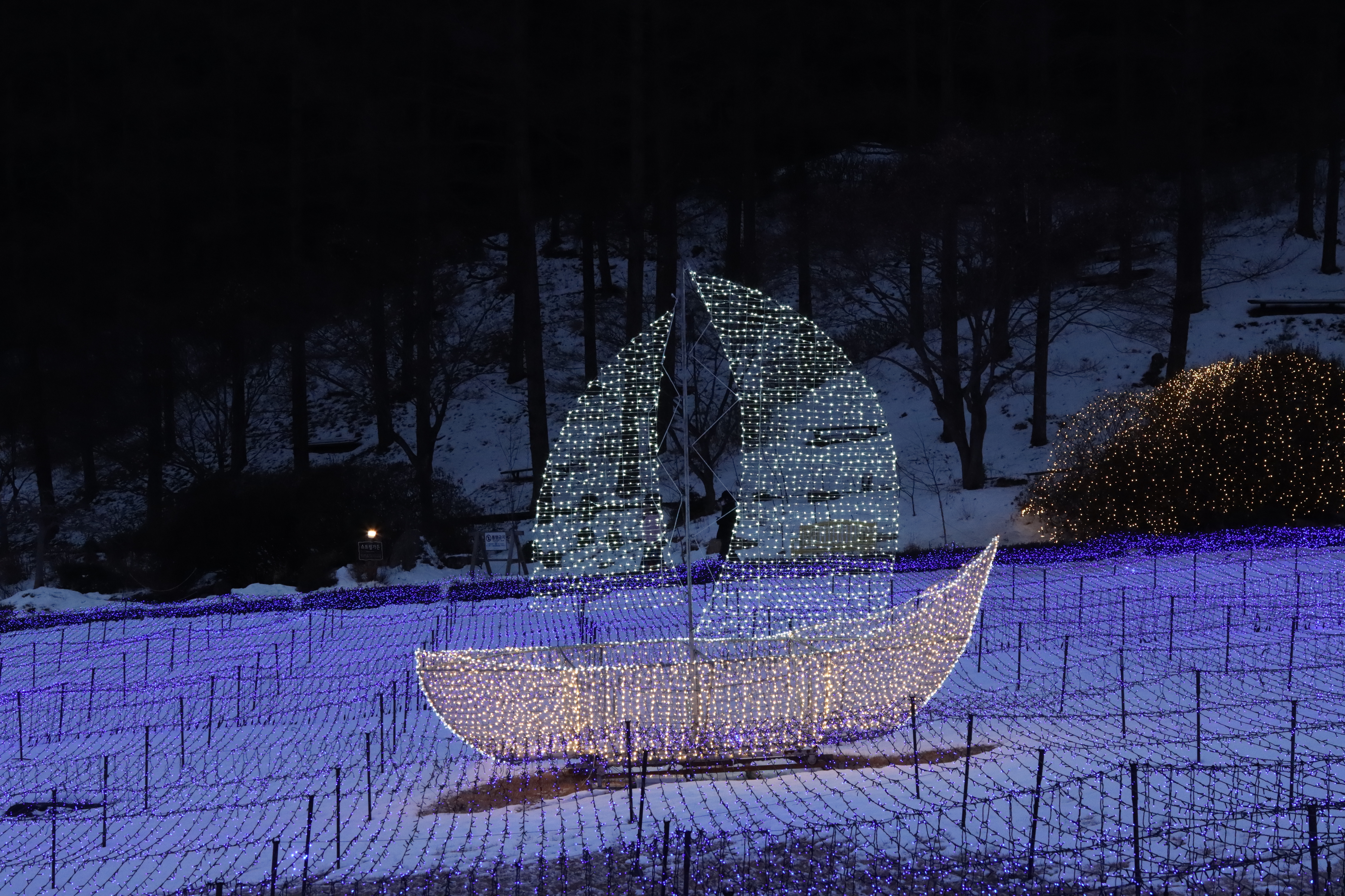 아침고요수목원