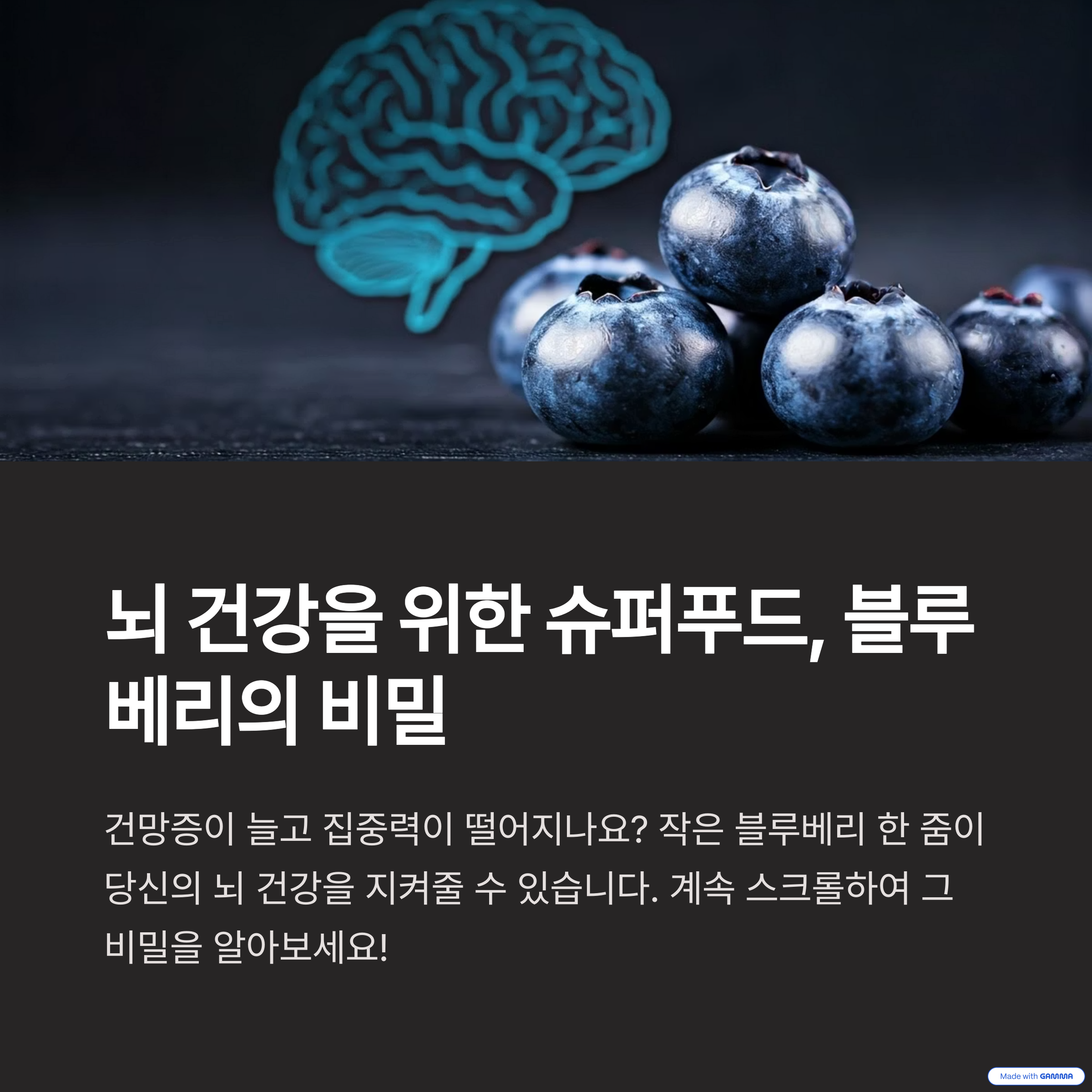 맛있는 블루베리 사진과 뇌의 사진