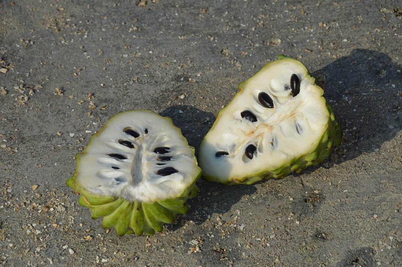 커스터드애플(Custard Apple) 자른 모습