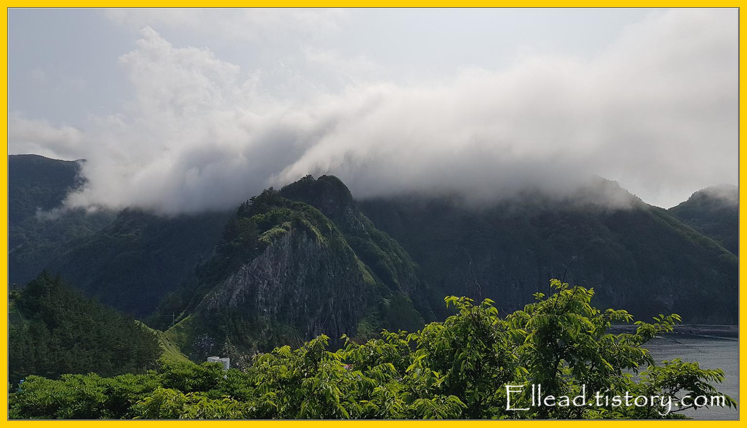 다리를 건너 뒤돌아본 모습