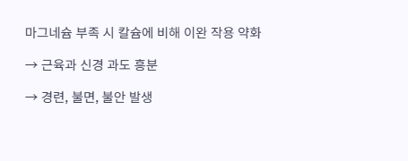 마그네슘효능부작용