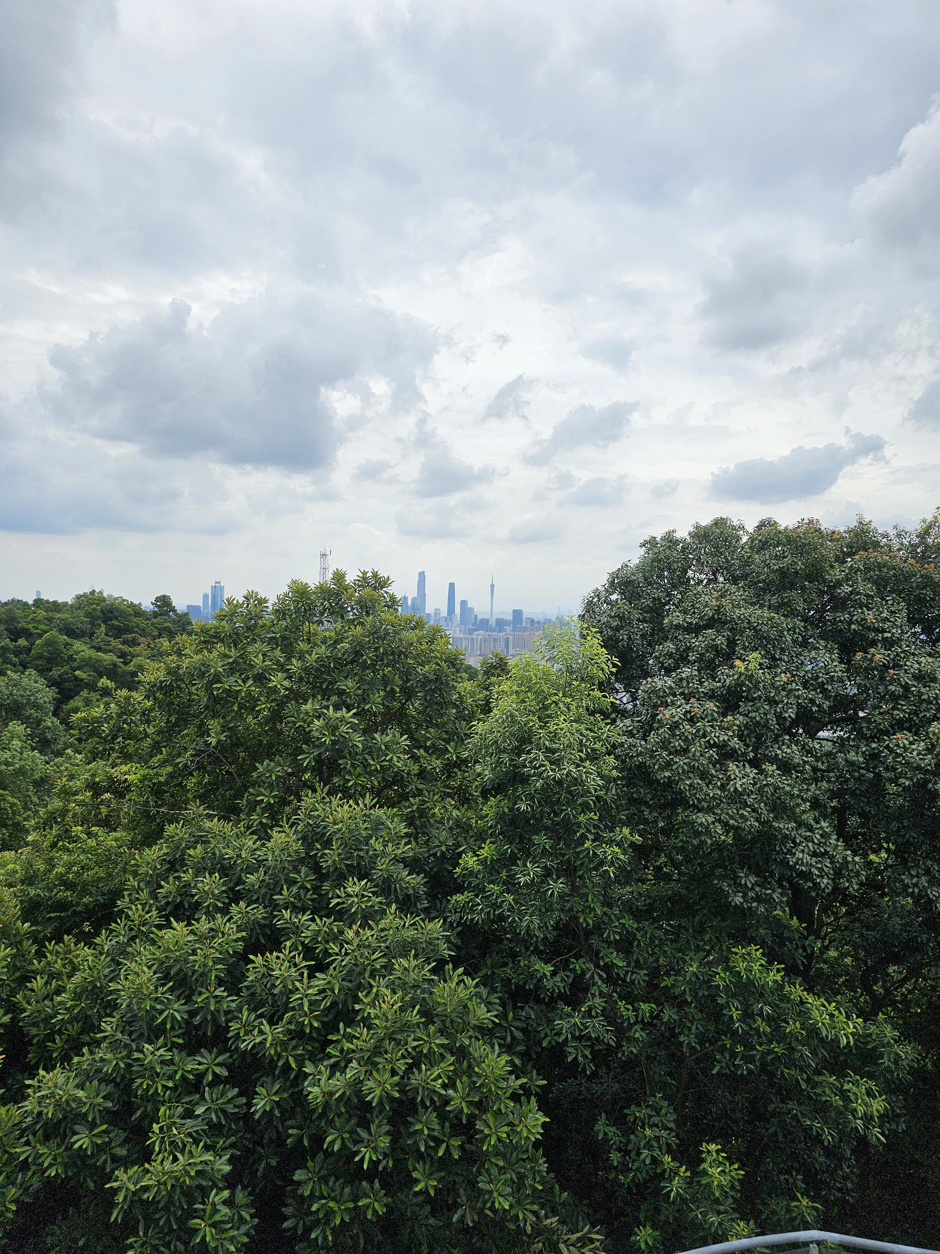 광저우 백운산 등산