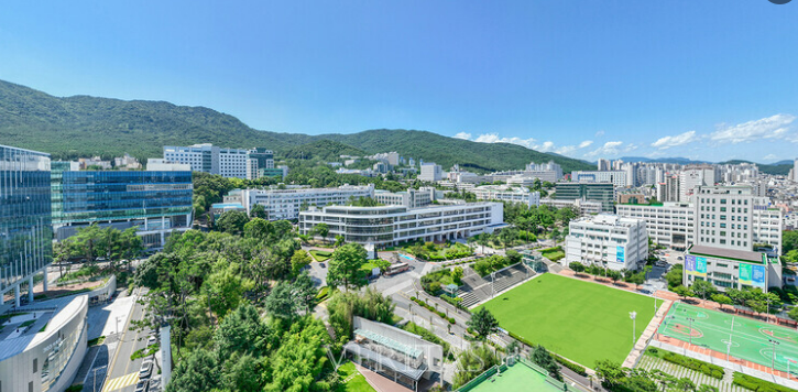 2026 정시, 글로컬대학 판도 완전 뒤집혔다!