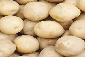 감자