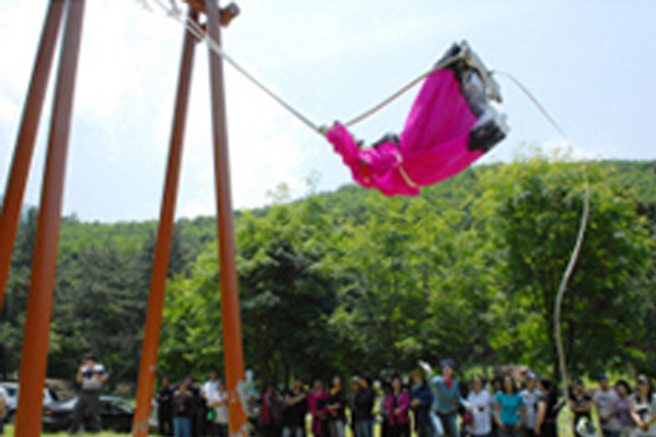 울릉도 오징어축제 완벽 가이드 | 2025년 여름 섬 축제