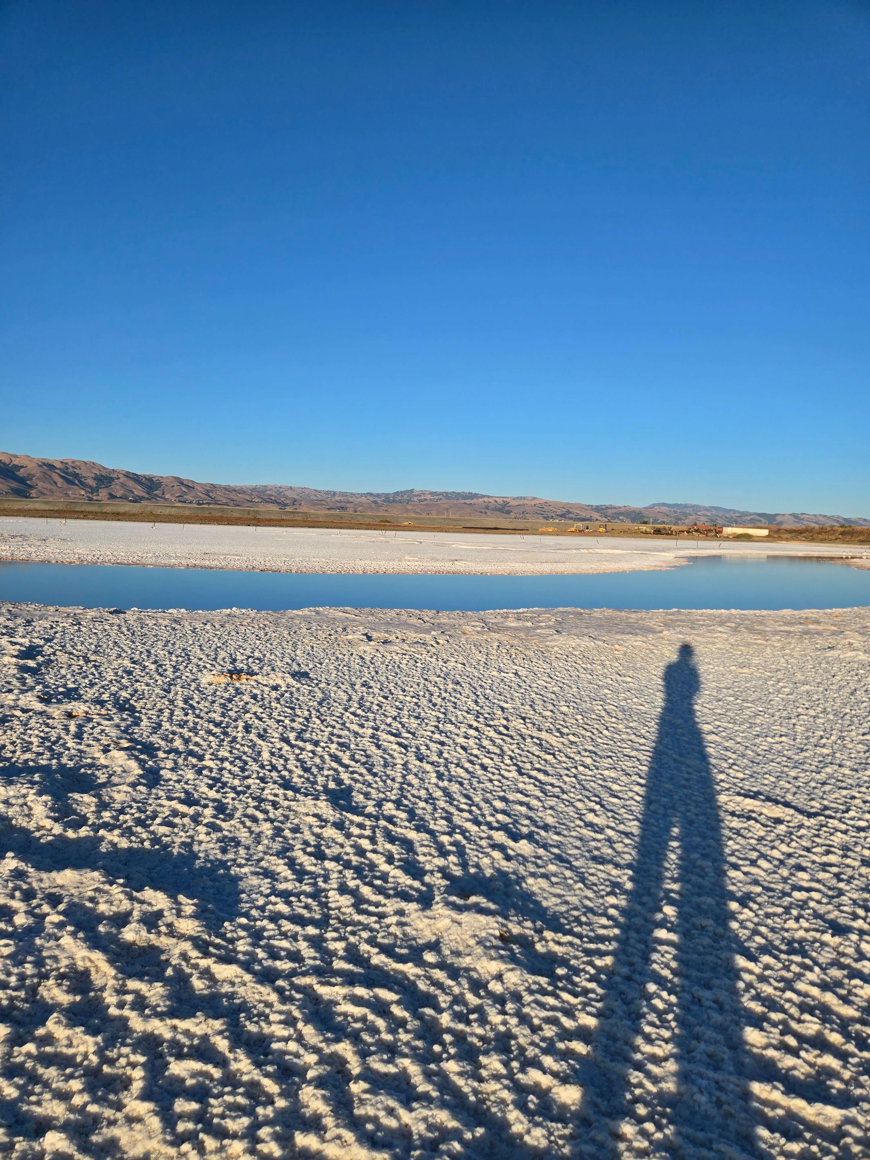 미국 산호세에서 2주 살아보기! 가족형 로컬 여행기 관련사진