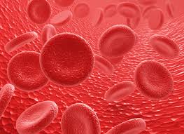 혈소판수치가 낮으면 일어나는 증상