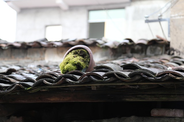 2025 목포항구축제&amp;#44; 바다와 맛&middot;흥&middot;낭만!