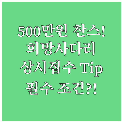 서리풀 희망사다리 프로젝트 2025 ..