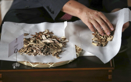 비염 한방 치료2