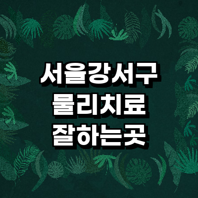 서울 강서구 정형외과