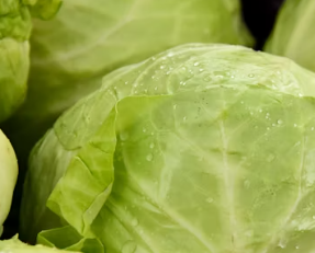 위궤양에 좋은 음식 영양제 식단