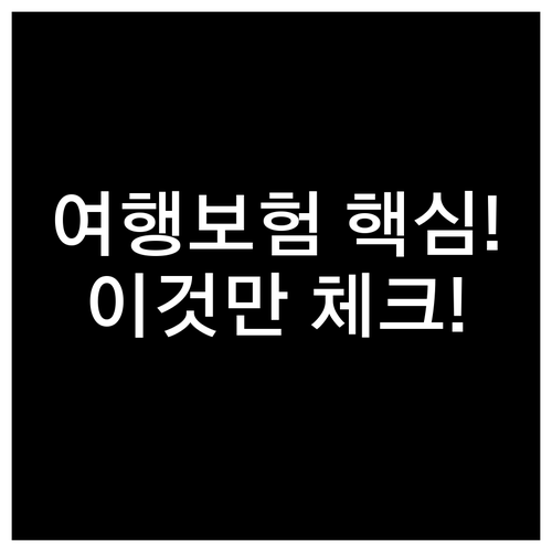 해외여행 보험 당신의 여행 목적에 맞..