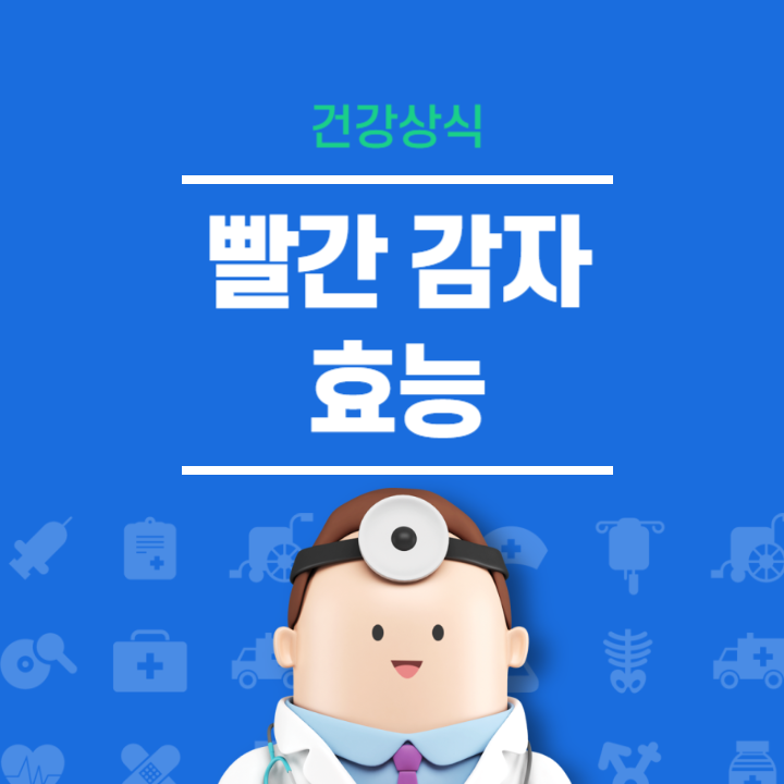 홍감자 빨간 감자의 효능 감자의 종류