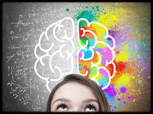 창의적 리더십의 비밀, 누구도 대체할 수 없는 존재가 되는 법 세스 고딘의 린치핀 전략 자신감 키우기 자존감 성공 마인드셋