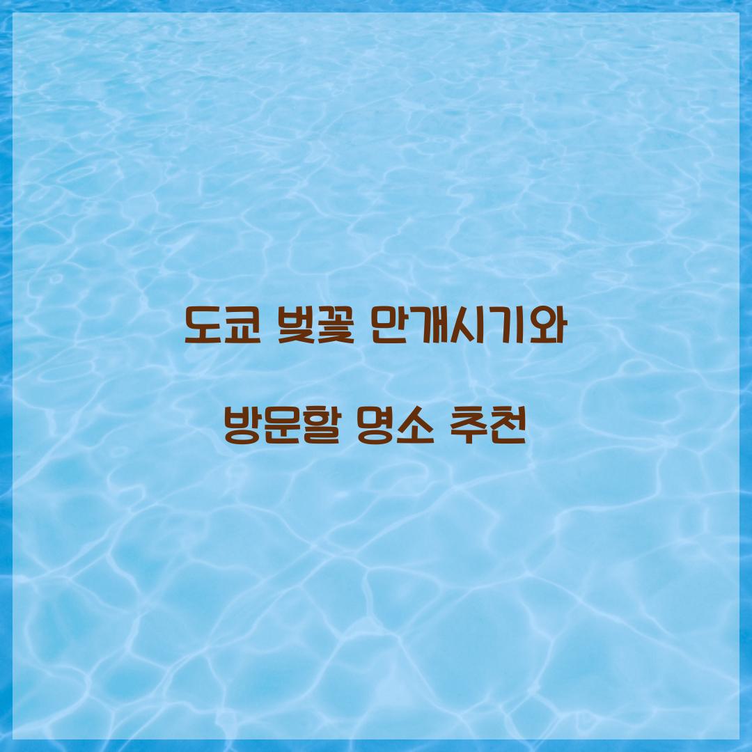 도쿄 벚꽃 만개시기
