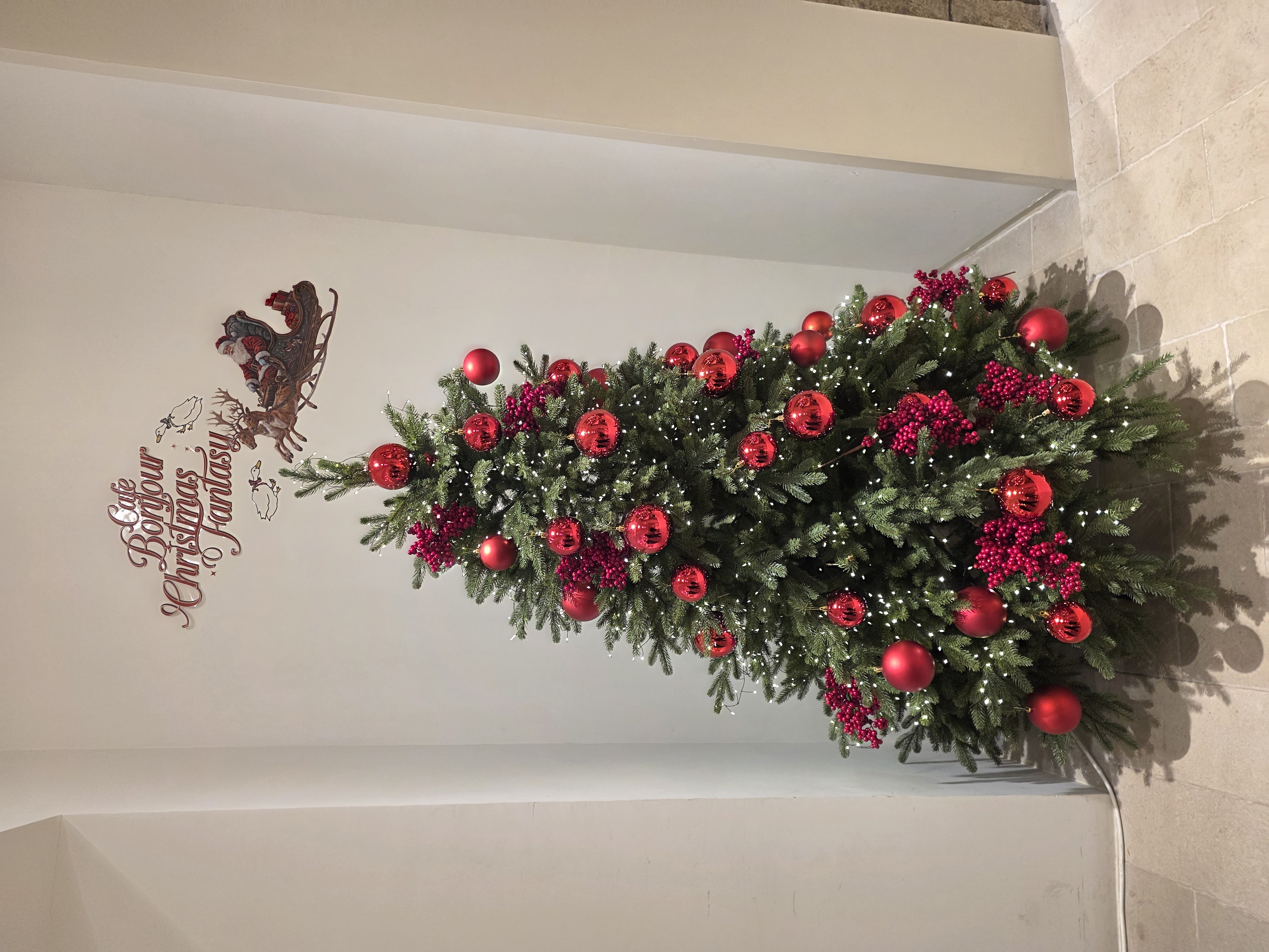 봉주르팔당 in 크리스마스