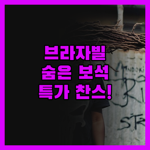 무응갈리의 레지던스 오텔리에르, 브라