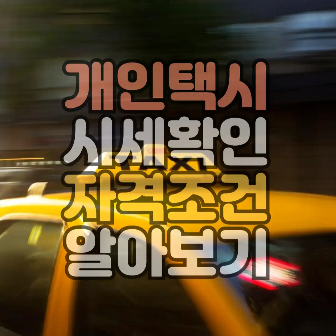 개인택시 시세확인 자격조건