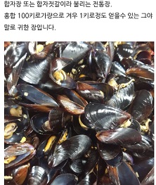 합자젓국