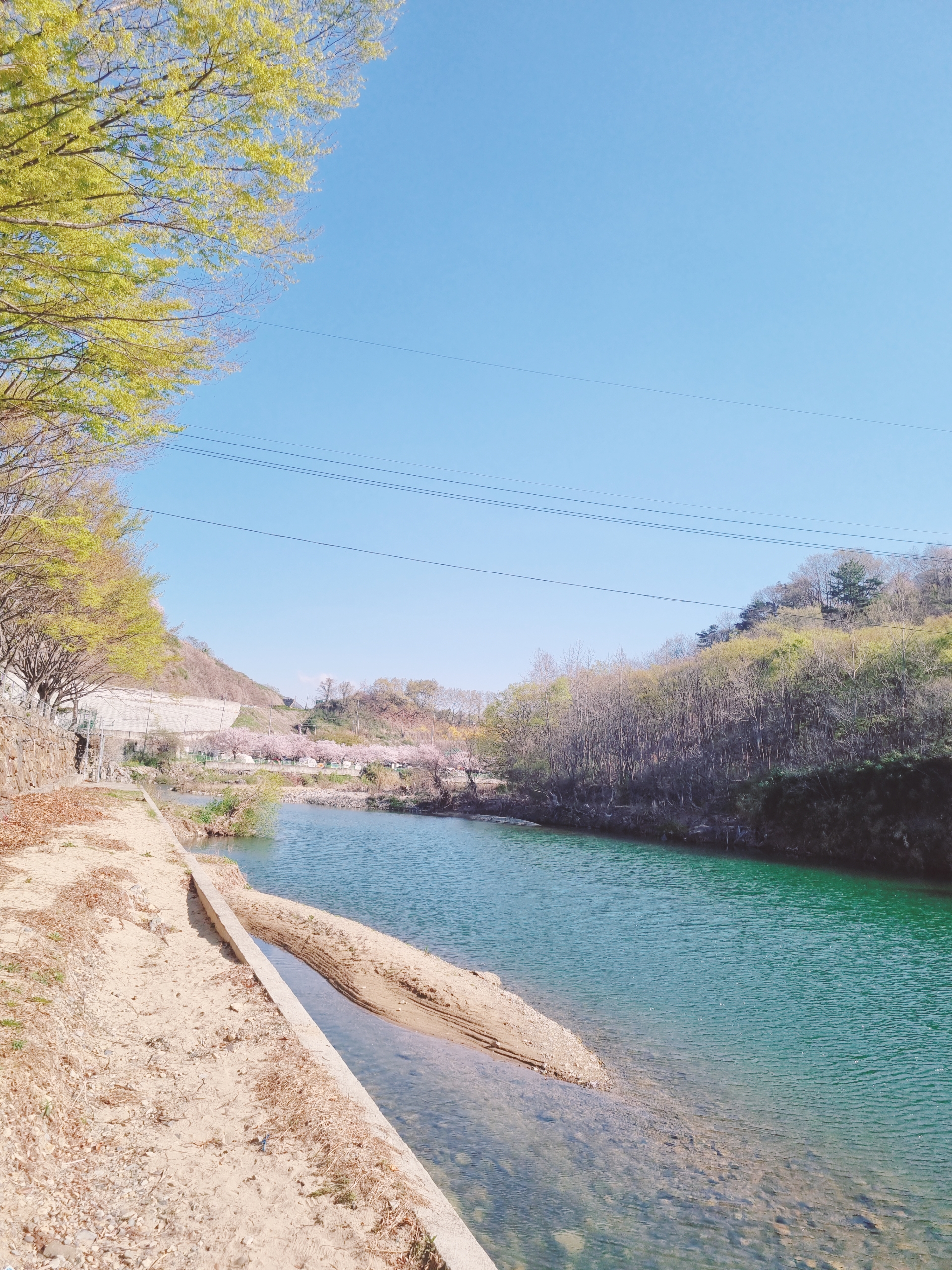 밀양 산여울 캠핑장