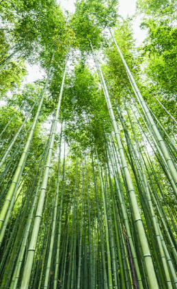 레일크루즈 해랑열차 효도관광 서부권 1박 2일 코스 일정 예약 가격