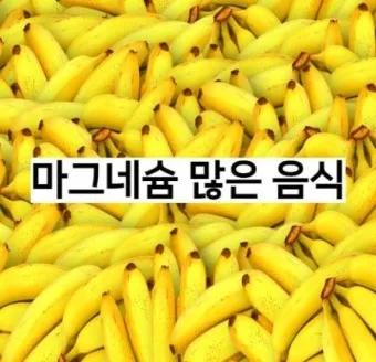 마그네슘 효능 으로_14