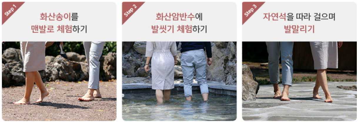 휴애리 수국축제