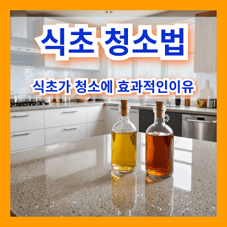 식초 청소법 식초가 청소에 효과적인 이유