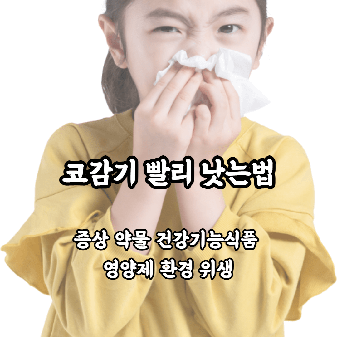 코감기 빨리 낫는법 코감기 증상 약물 영양제 건강기능식품 위생 가습기