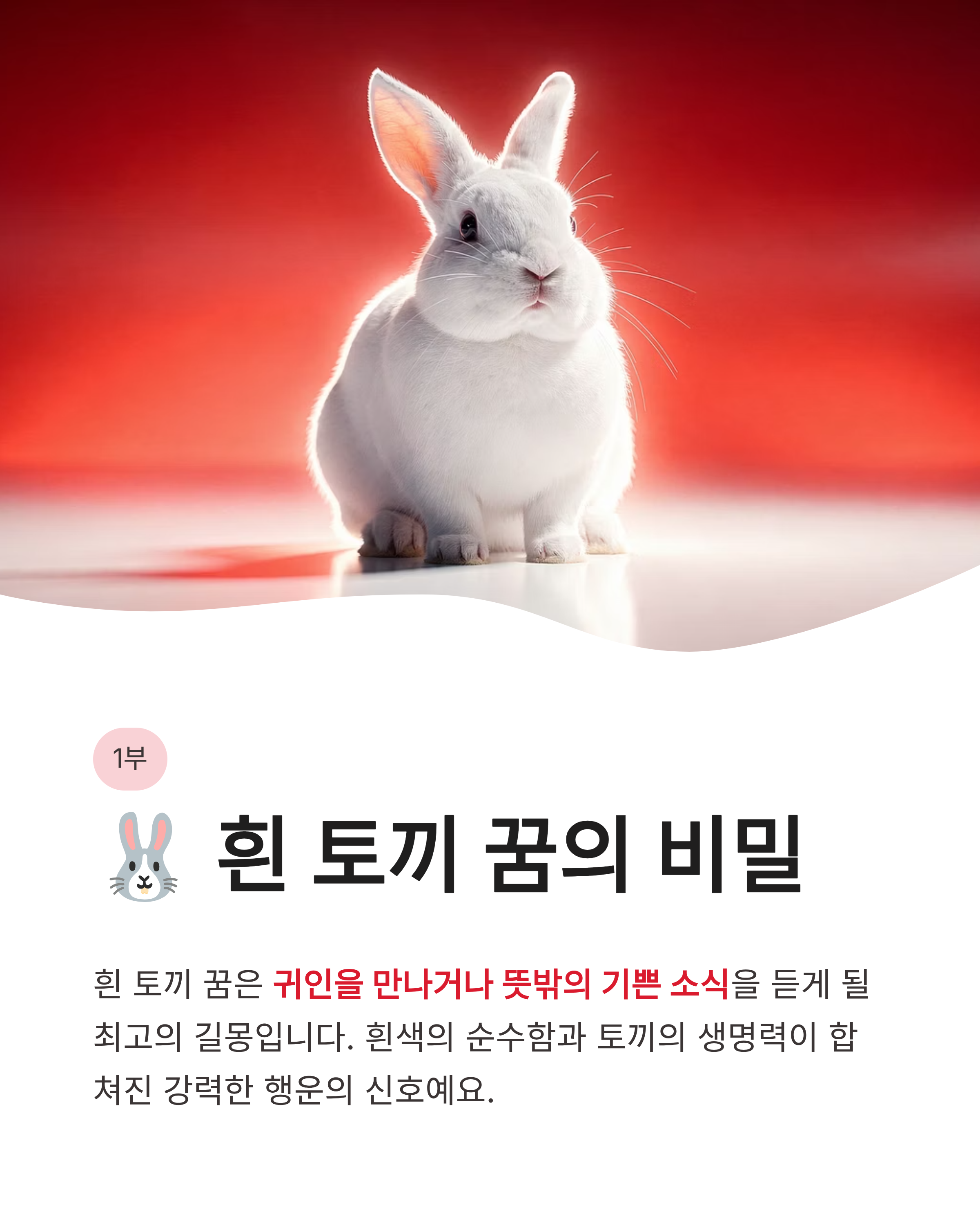 토끼꿈 해몽 흰 토끼 잡는 꿈 새끼 토끼 태몽까지! 복이 껑충 들어오는 대박 징조 총정리
