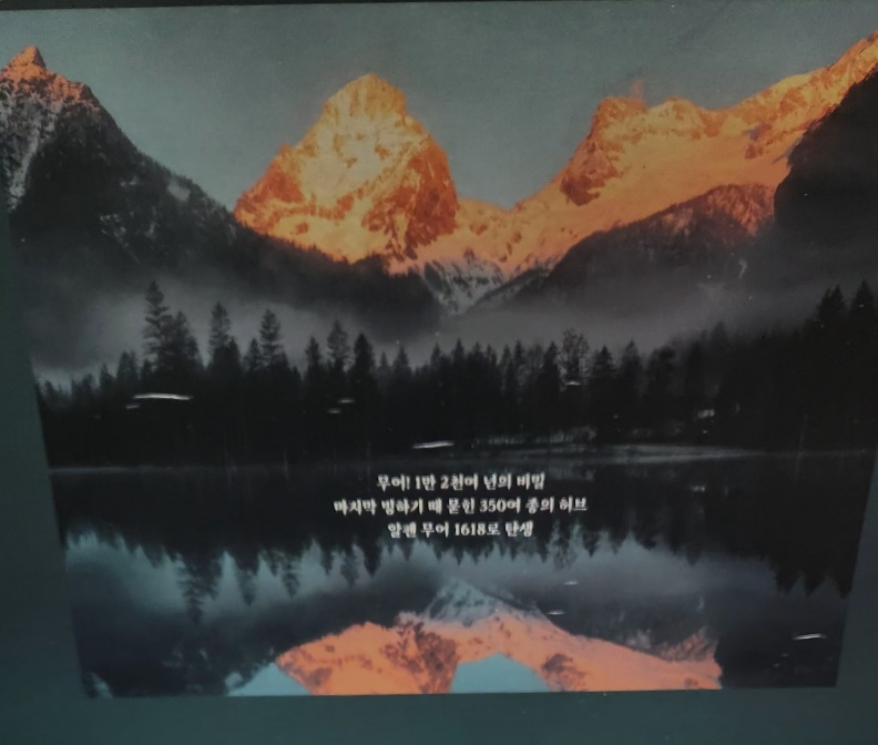 무어란무엇인가?