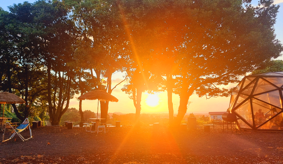 제주도 블로비 포레스트 노을