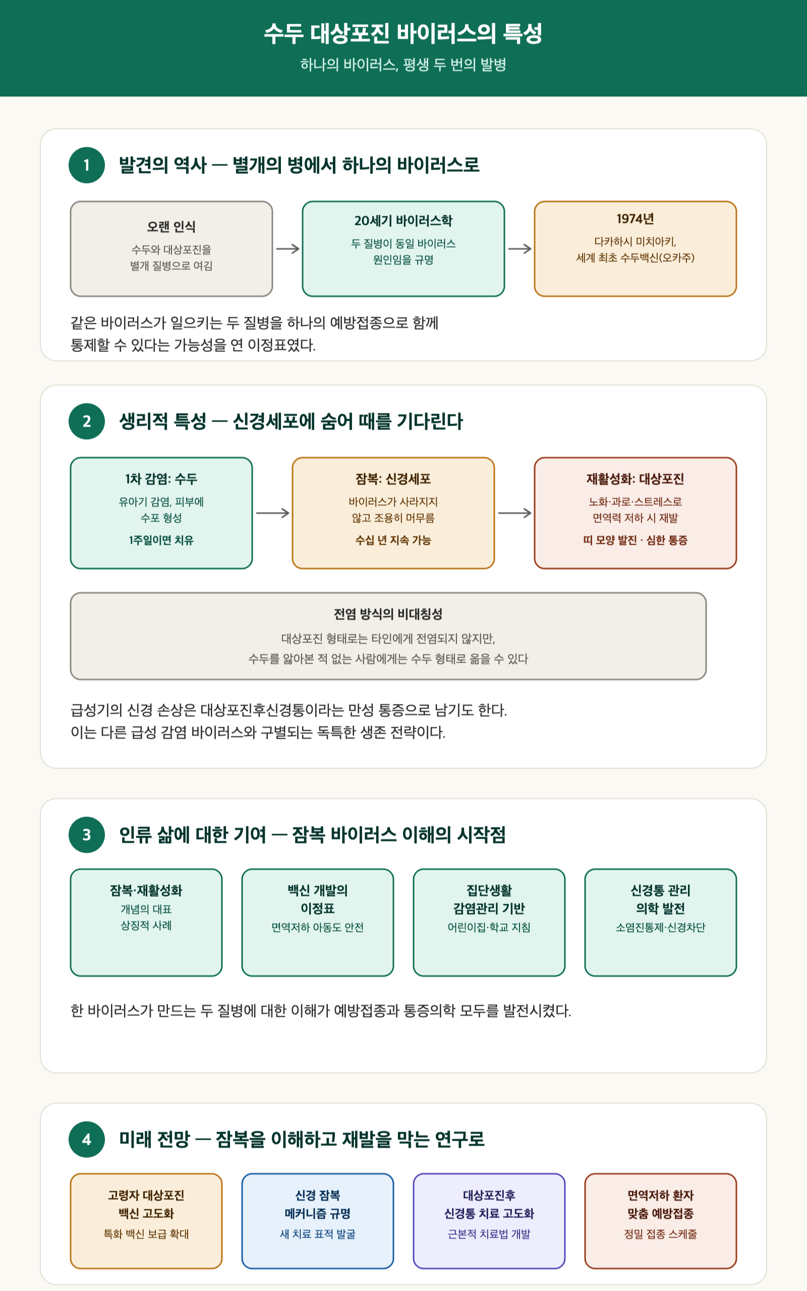 수두 대상 포진 바이러스 특징
