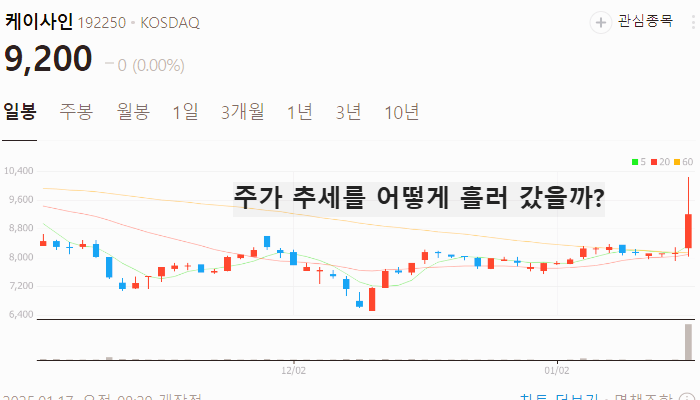 사이버 보안 관련주 대장주 테마주 주식 TOP7