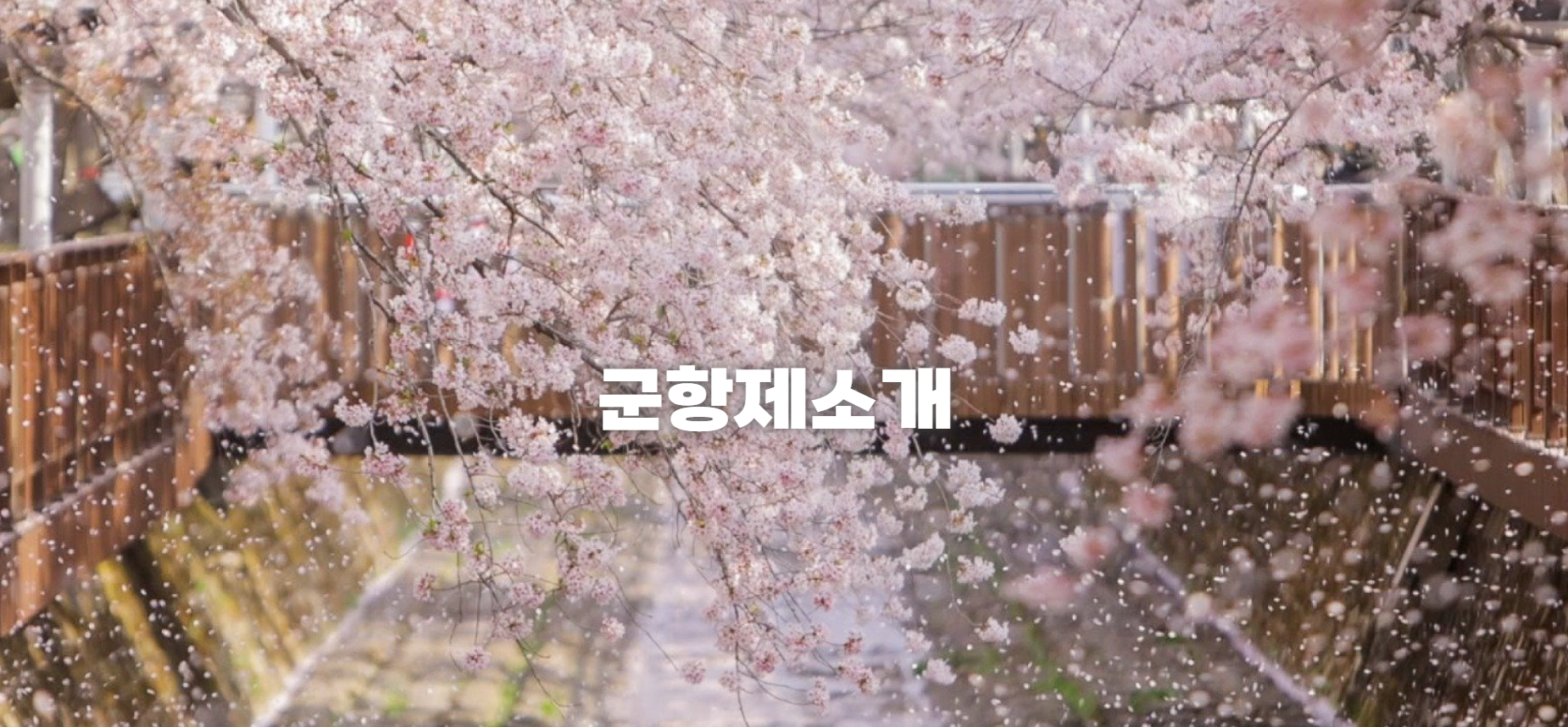 2025 진해군항제 &amp; 진해 벚꽃장 200% 즐기기