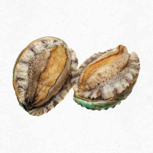 전복 세척 노하우