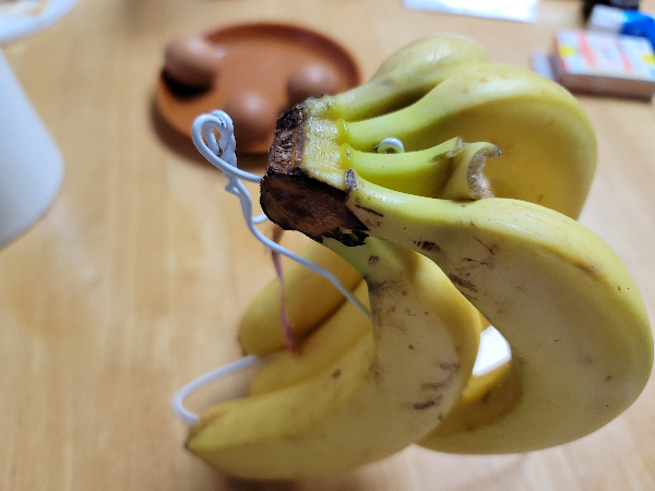 철제 옷걸이로 만든 바나나 걸이에 바나나가 걸린 사진