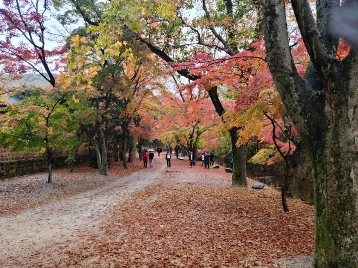 고창 선운산