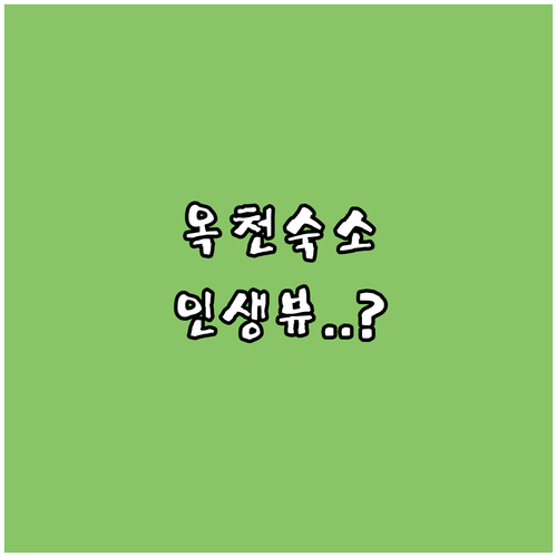 옥천 대청호텔부터 카페밀펜션까지 위치..